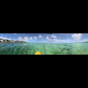 Meet your Posher, Lily